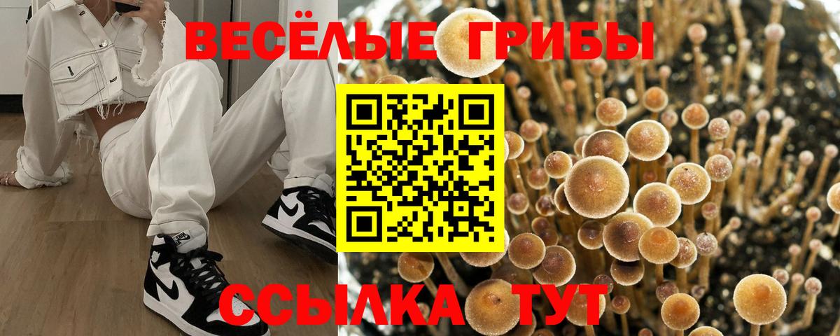 Усолье-Сибирское  наркошоп  Вход с VPN  Галлюциногенные грибы Magic Shrooms 