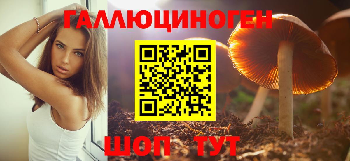 Галлюциногенные грибы Psilocybe Усолье-Сибирское